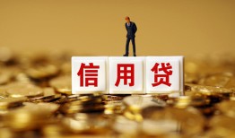 成都上门哪里可以民间借贷-成都上门私人借钱当天拿钱-成都上门贷款联系电话