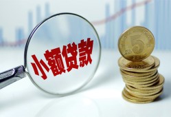 成都上门正规短借-成都上门民间借贷无视黑白-成都上门身份证办理贷款