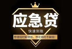 成都上门用身份证借私借-成都上门短借私人-成都上门民间小额借贷
