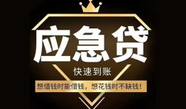 成都上门本地私借-成都上门贷款当天放款-成都上门私人身份证借私借