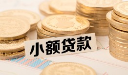 成都上门哪里有小额贷款-成都上门身份证贷款平台-成都上门民间短借