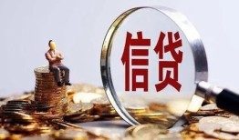 成都上门个人借贷私借-成都上门个人贷款联系电话-成都上门身份证借私借